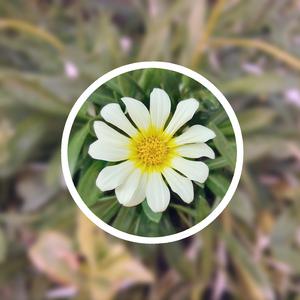 美女跪床❌❌被🌿国产
