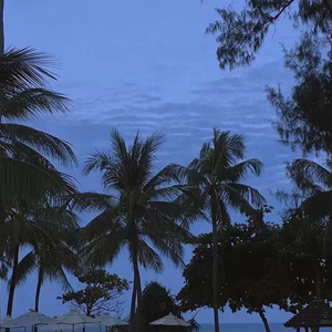 美女跪床❌❌被🌿国产
